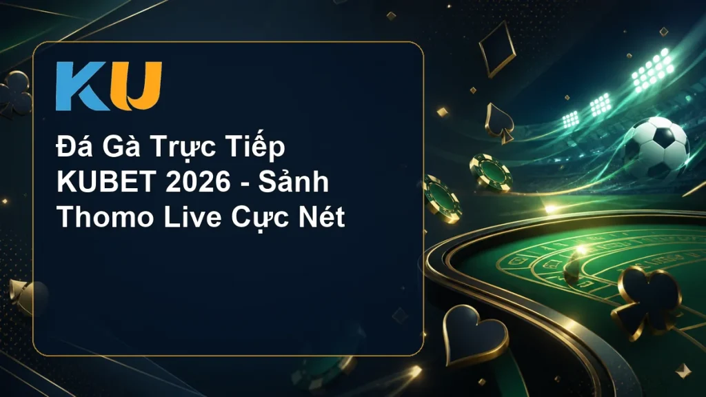 Đá Gà Trực Tiếp KUBET 2026 - Sảnh Thomo Live Cực Nét - hình đại diện KU 62